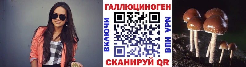 дарнет шоп  Ростов-на-Дону  Псилоцибиновые грибы GOLDEN TEACHER 